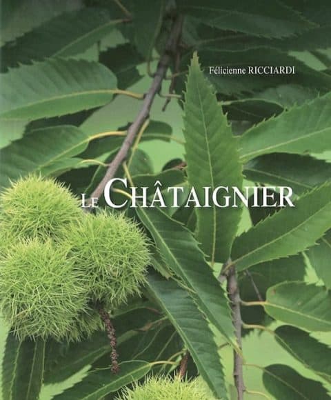 le chataignier