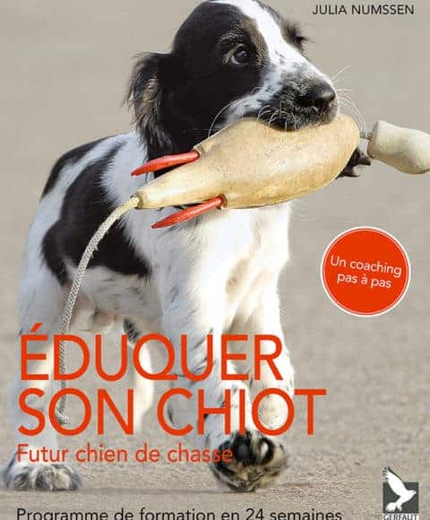 eduquer son chiot futur chien de chasse