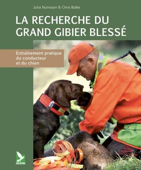 la recherche du grand gibier blesse 1