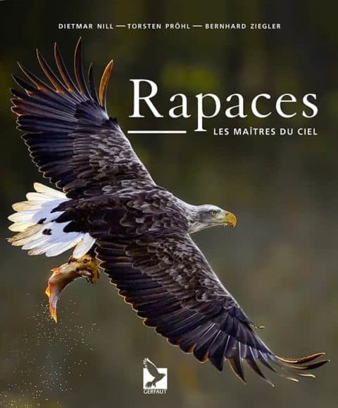 rapaces les maitres du ciel