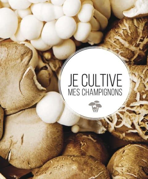 je cultive mes champignons Tavis Lynch