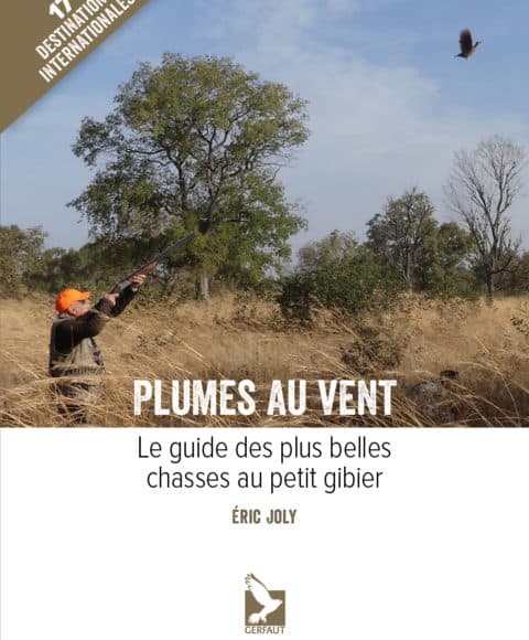 Plumes au vent d'Eric Joly