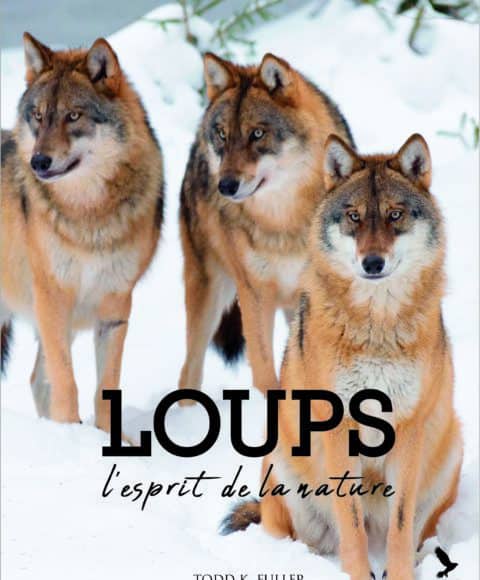 Loups de Todd K. Fuller