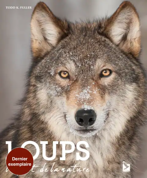 Loup