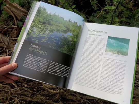 bibliotheque peche a la mouche peche du brochet a la mouche 1 3