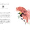 les plus beaux chants doiseaux du monde5