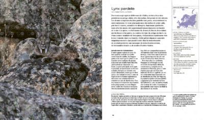 camouflage livre nature animaux