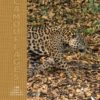 camouflage livre nature couverture