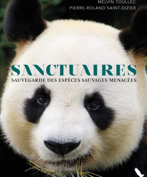 sanctuaires editions du gerfaut couv