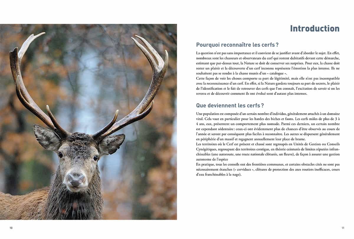 Chasse au Cerf - Mon premier Cerf de 16 cors irréguliers - de