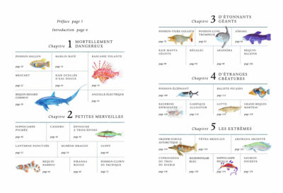 la vie secrete des poissons editions du gerfaut pages 2