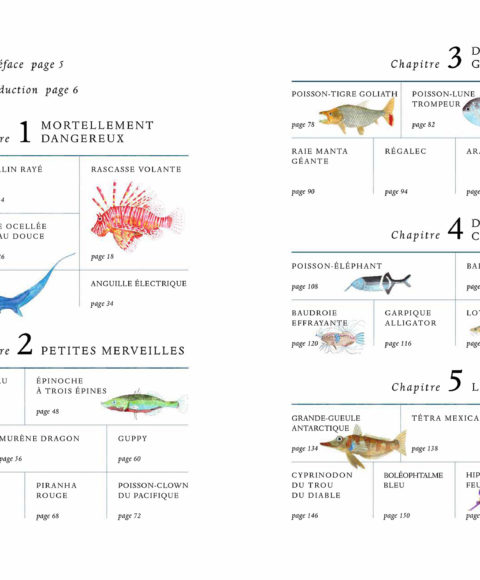 la vie secrete des poissons editions du gerfaut pages 2