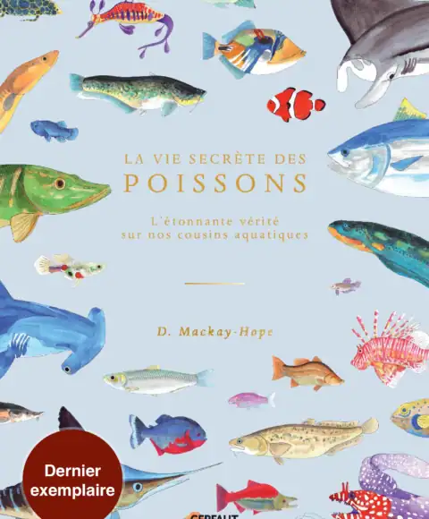 La vie secrète des poissons