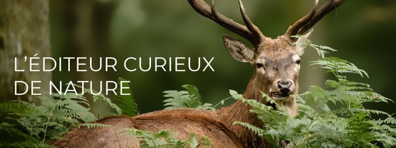 Newsletter Octobre - L'éditeur curieux de nature