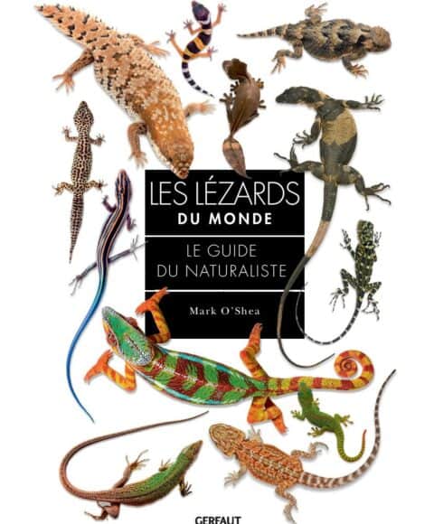 les lezards du monde couv les editions du gerfaut