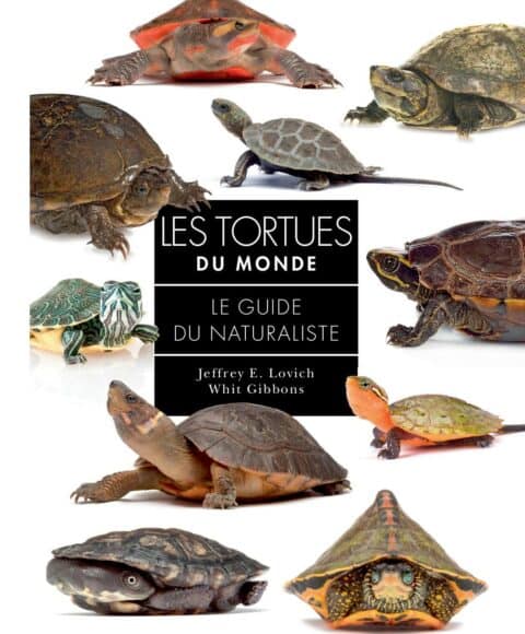 les tortues du monde couv les editions du gerfaut
