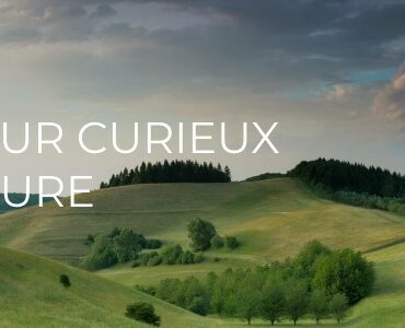 lediteur curieux de nature