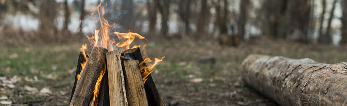 high angle bonfire forest