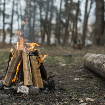 high angle bonfire forest