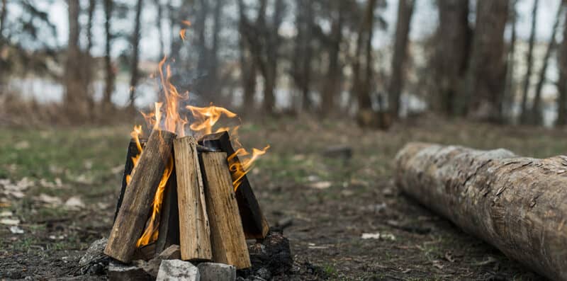 high angle bonfire forest