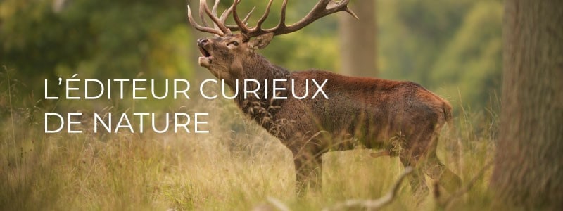 Newsletter septembre 2023 l'éditeur curieux de nature sept