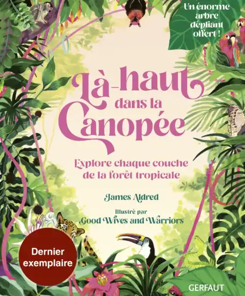 La haut dans la canopée