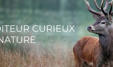 capture decran 2023 10 25 111500