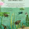 Des insectes par milliers Page 12
