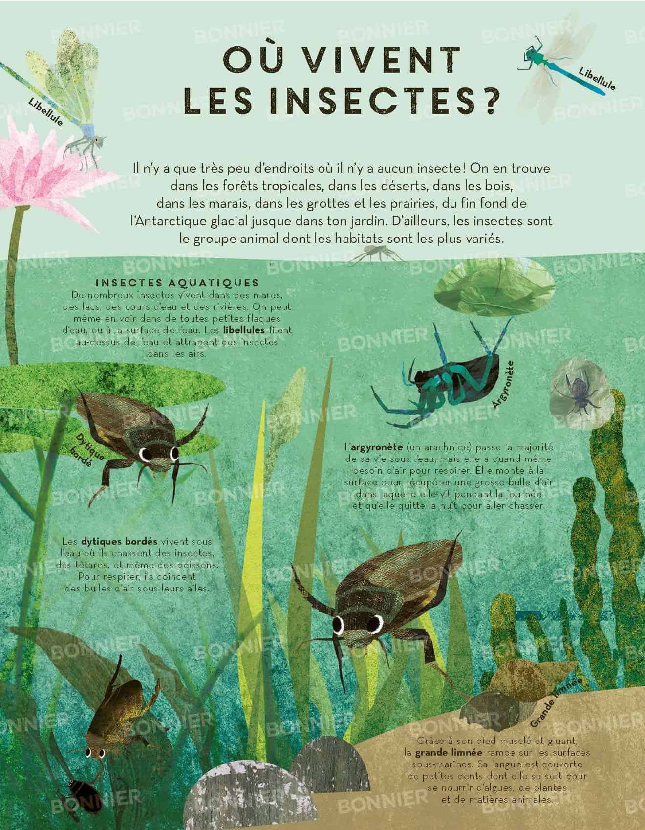 Des insectes par milliers Page 12