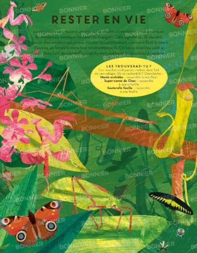 Des insectes par milliers Page 20