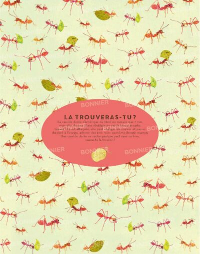 Des insectes par milliers Page 31