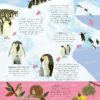 Des oiseaux par milliers Page 25