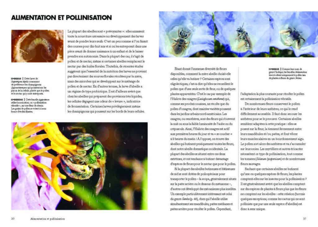 Les abeilles du monde - Editions du Gerfaut