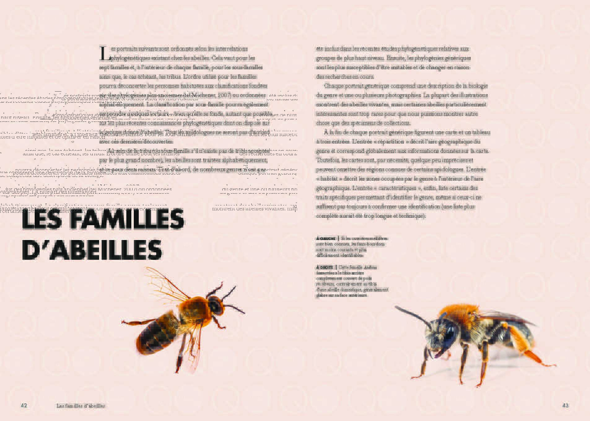Les abeilles du monde Page 022