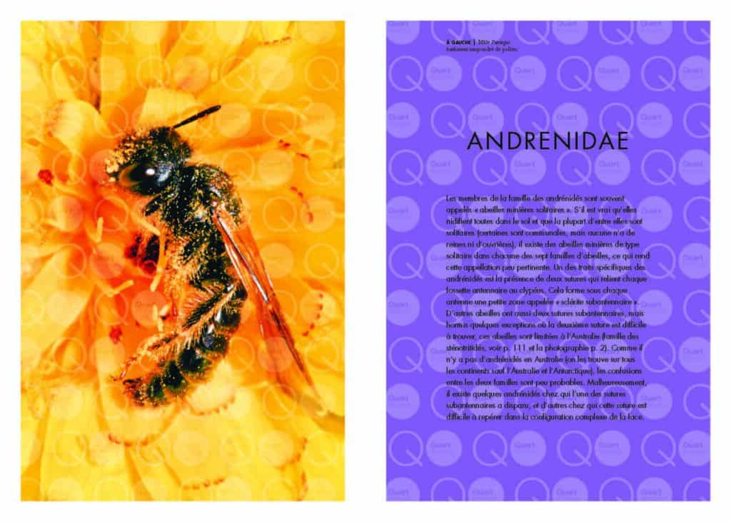 Les abeilles du monde - Editions du Gerfaut