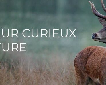 Newsletter février 2025