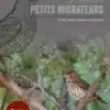 La chasse des petits migrateurs