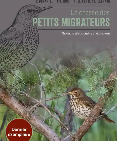 La chasse des petits migrateurs