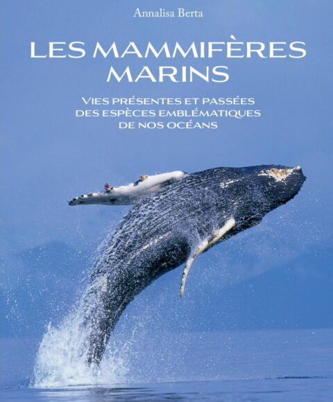 LES MAMMIFÈRES MARINS