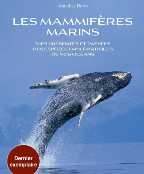 Les mammifères marins