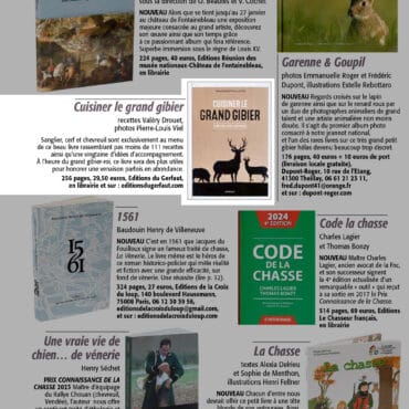 Revue de presse