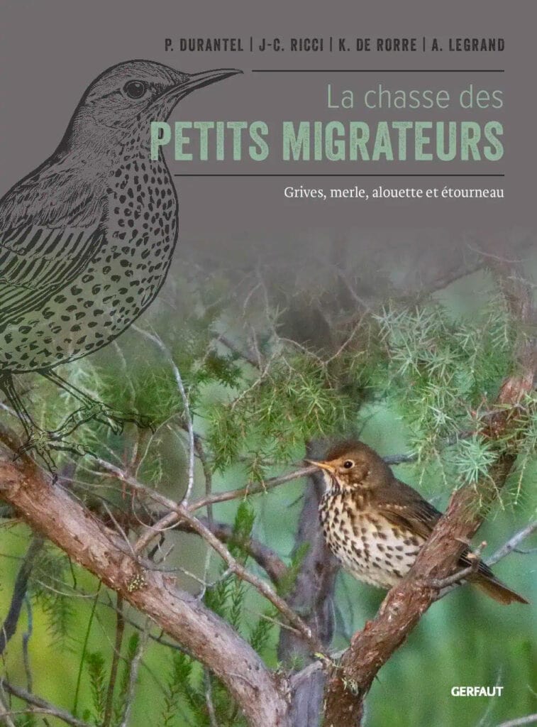 newsletter juin