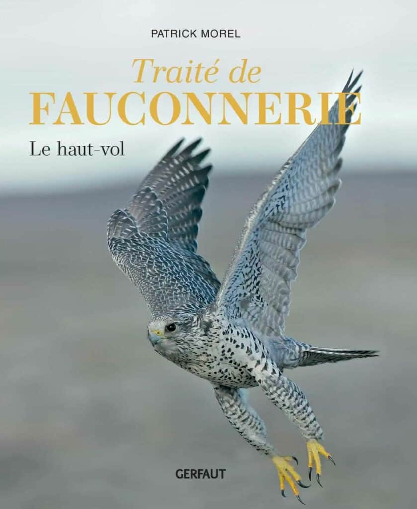 newsletter juin