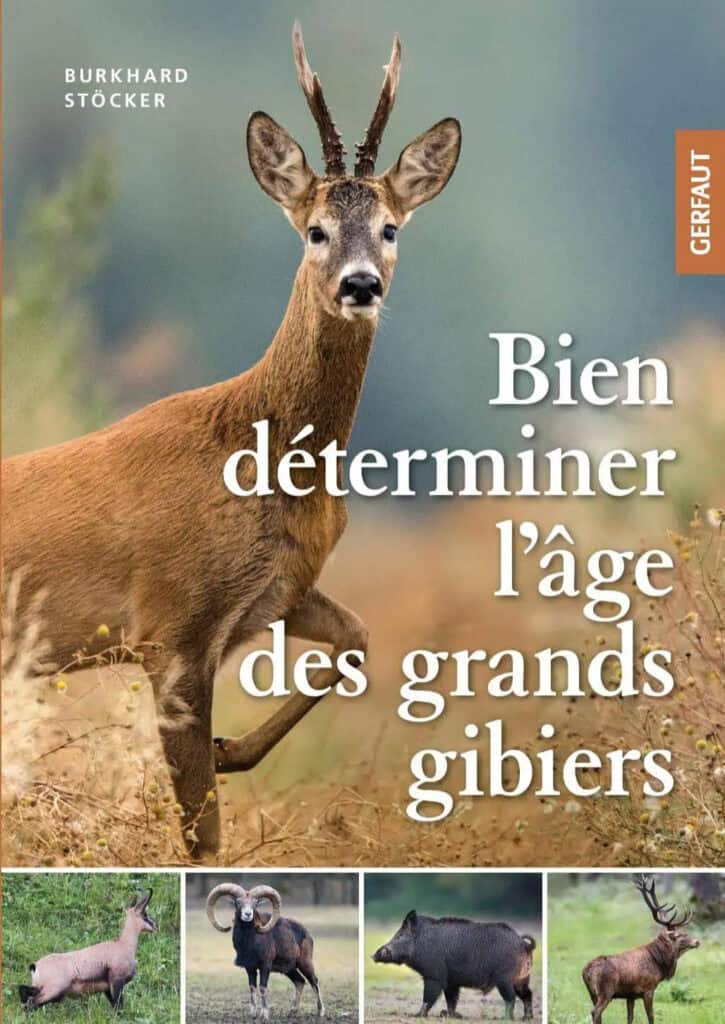 newsletter juin