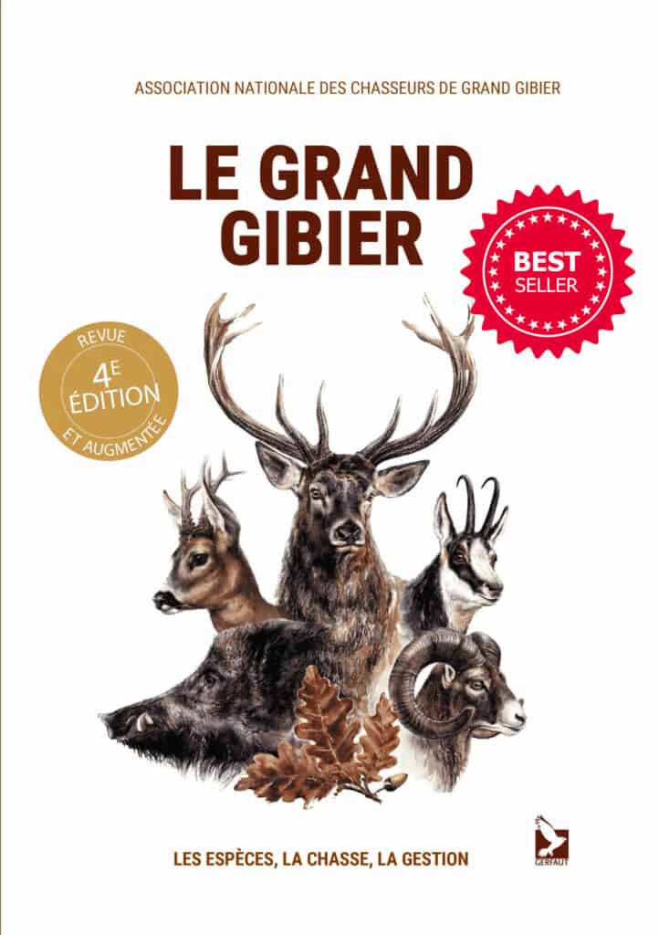 newsletter juin
