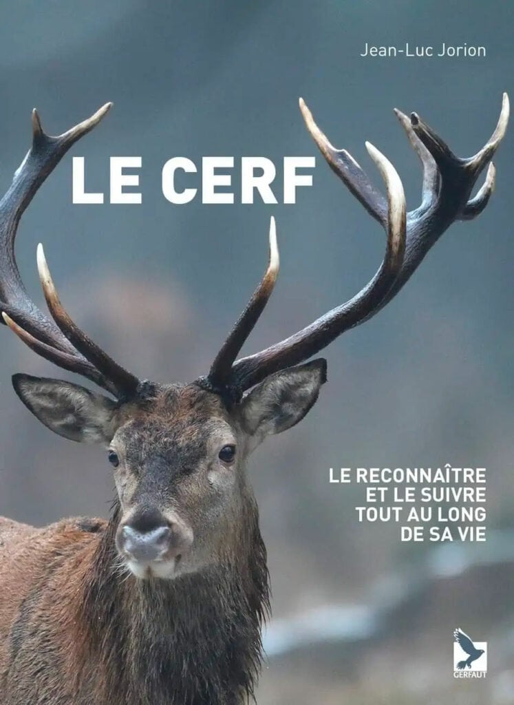 newsletter juin