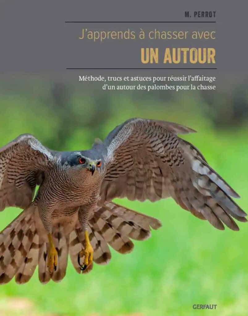 newsletter juin