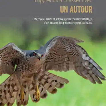 J'apprends à chasser avec un autour