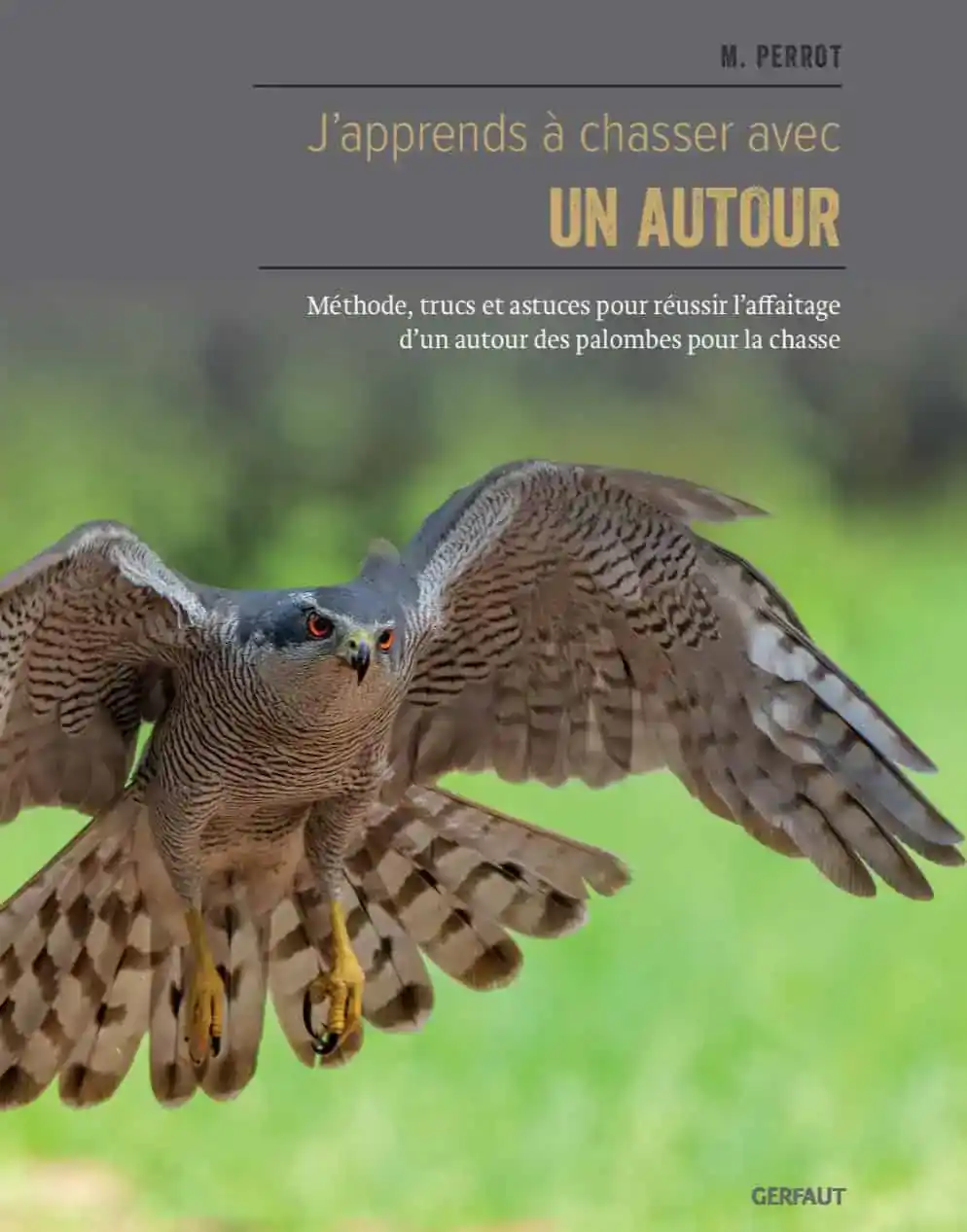 J'apprends à chasser avec un autour