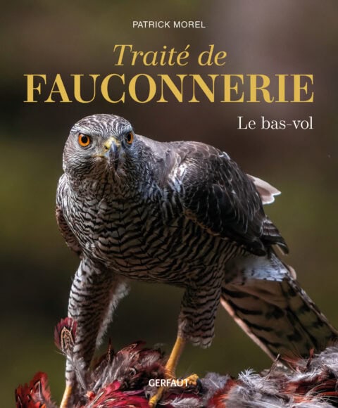 TRAITÉ DE FAUCONNERIE